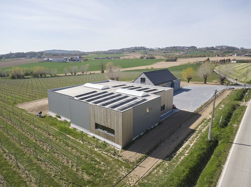 af-fotografie-dji0038-10.jpg