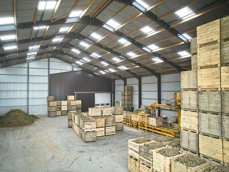 loodsbouw Mahieu Construct Noord-Frankrijk